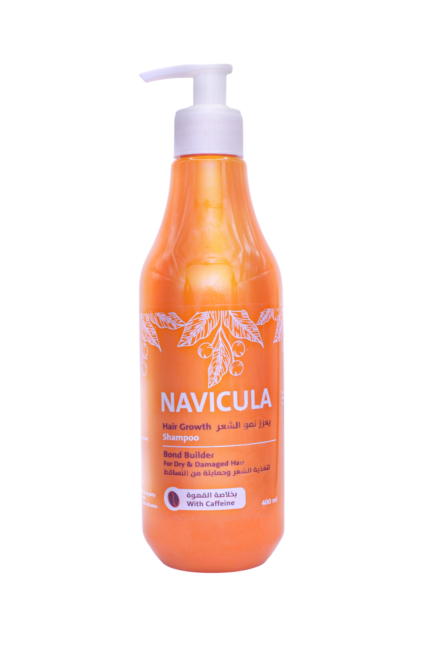 شامبو لعلاج التساقط